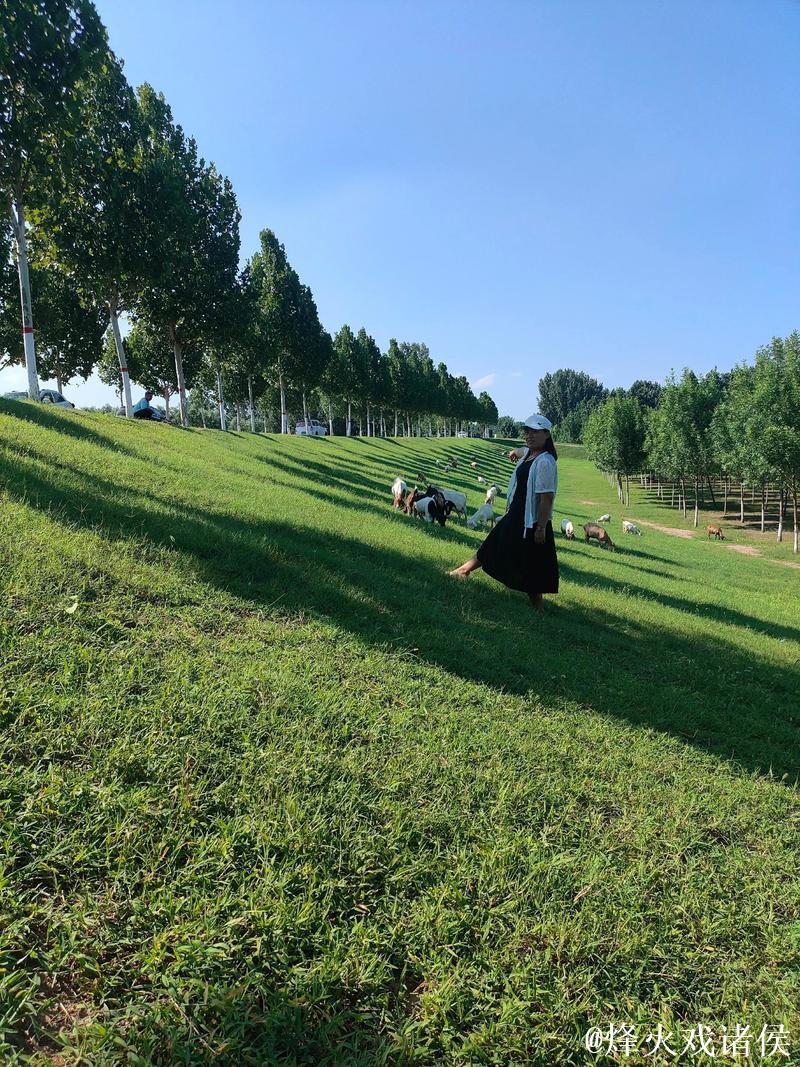 青青草在观2018免费 青青草在观2018免费