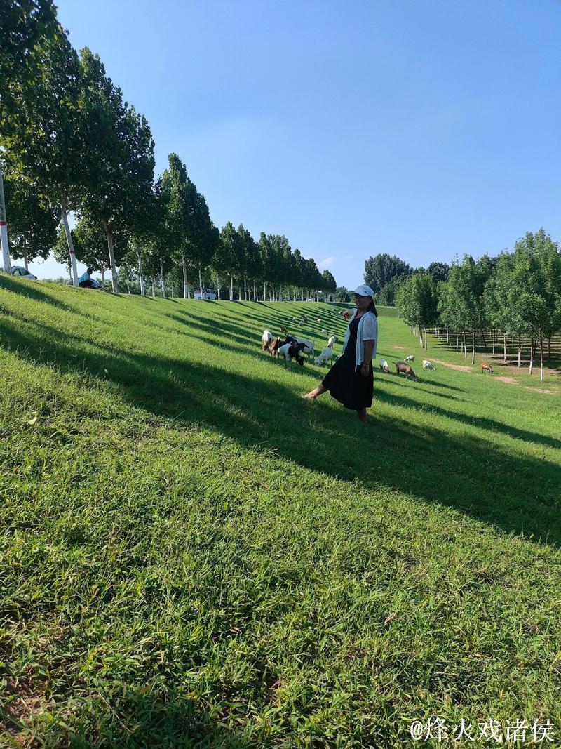 青青草在观2018免费 青青草在观2018免费